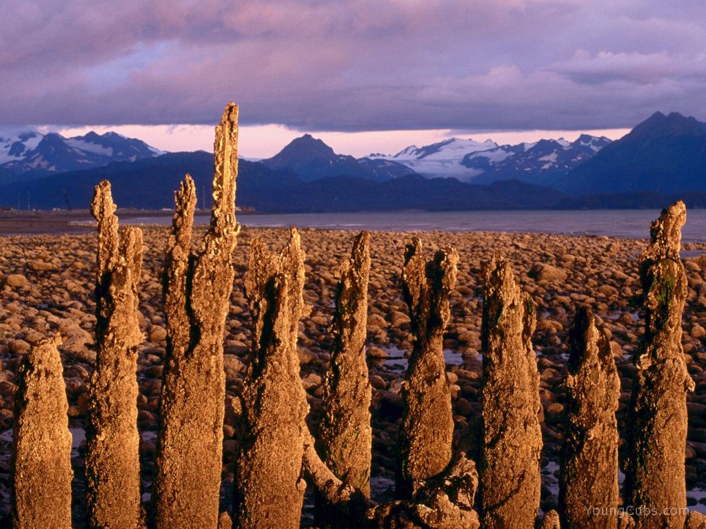 Low Tide, Homer, Alaska